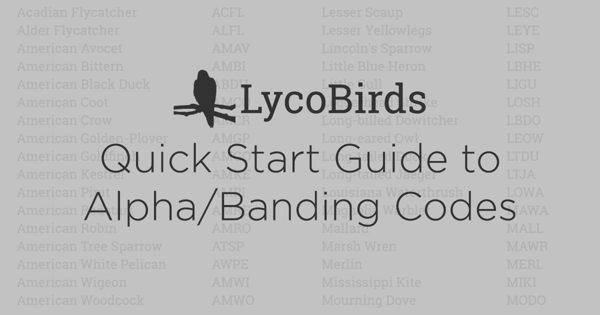 LycoBirds Quick Start Guide to Alpha/Banding Codes cover image