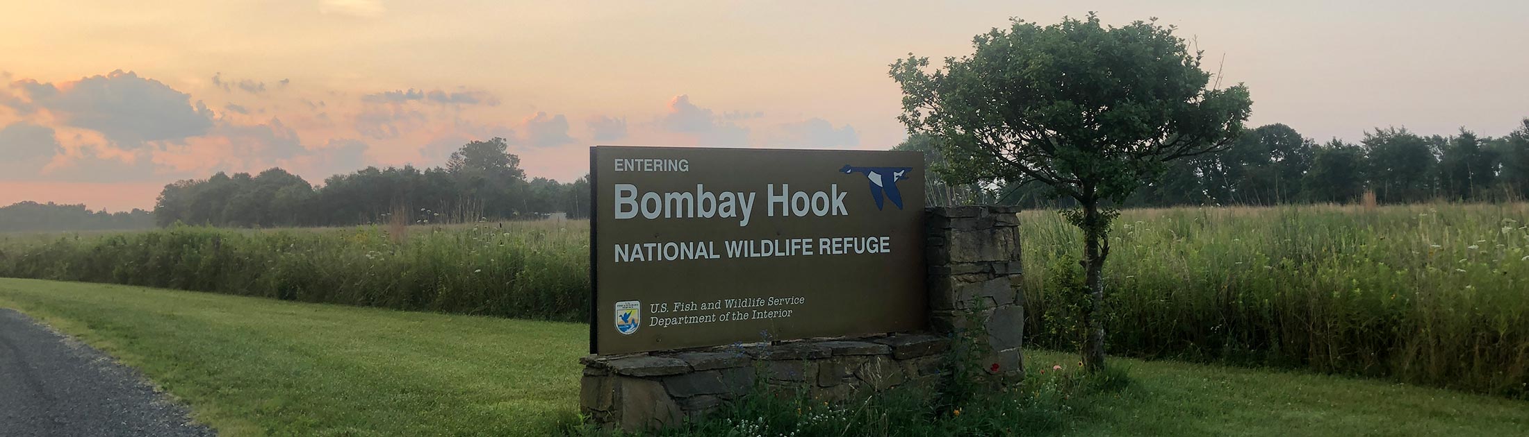 Guide to Birding at Bombay Hook National Wildlife Refuge