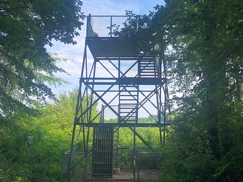 Raymond Observation Tower at Bombay Hook NWR