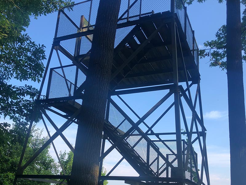 Shearness Observation Tower at Bombay Hook NWR