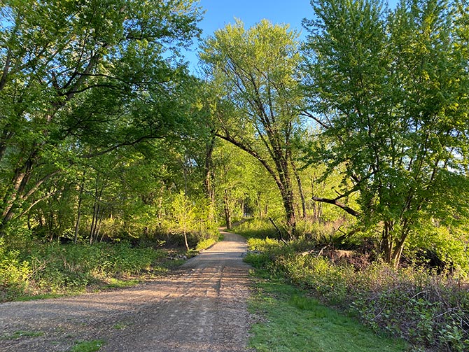 Bridge looking from the island back towards the parking area