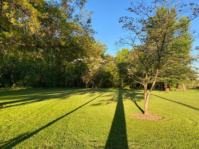 Grassy area near entrance