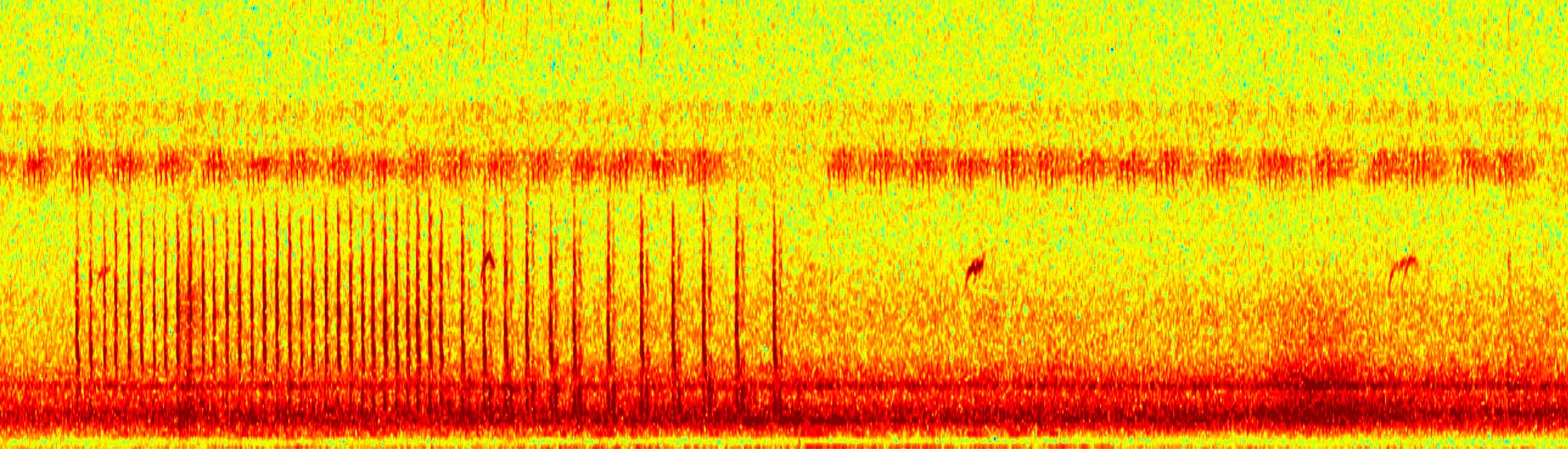 Guide to Recording Nocturnal Flight Calls
