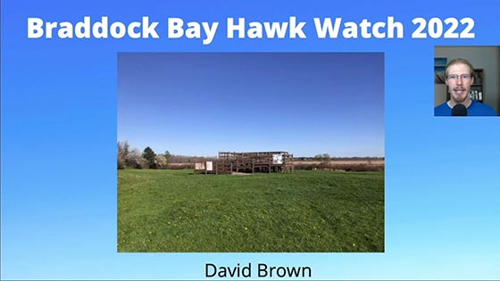 Braddock Bay Spring 2022 Season Playlist thumbnail