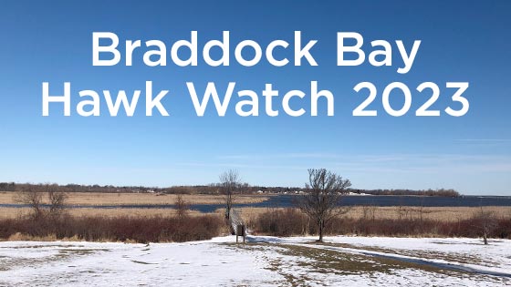 Braddock Bay Spring 2023 Season Playlist thumbnail