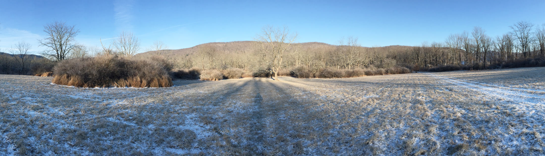 Seasonal Report - Winter 2016-17