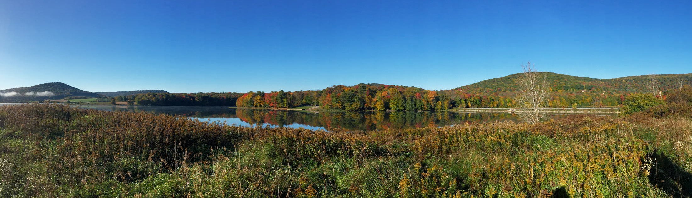 Seasonal Report - Fall 2016