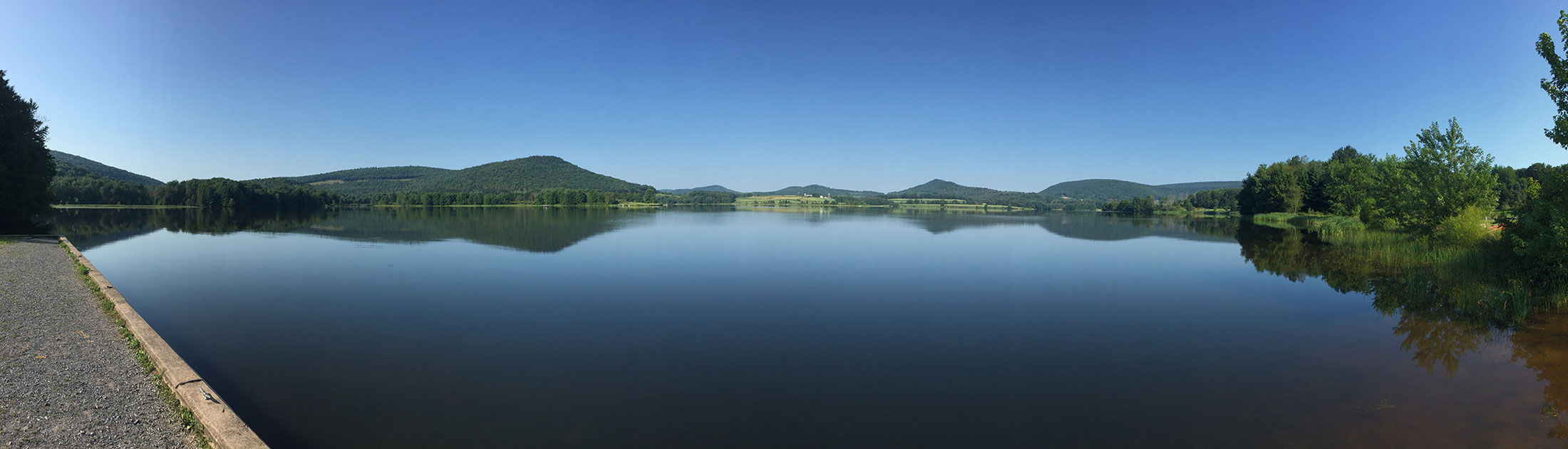 Seasonal Report - Summer 2019