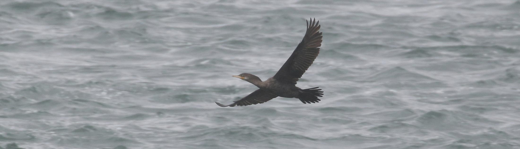 Seasonal Report - Spring 2021