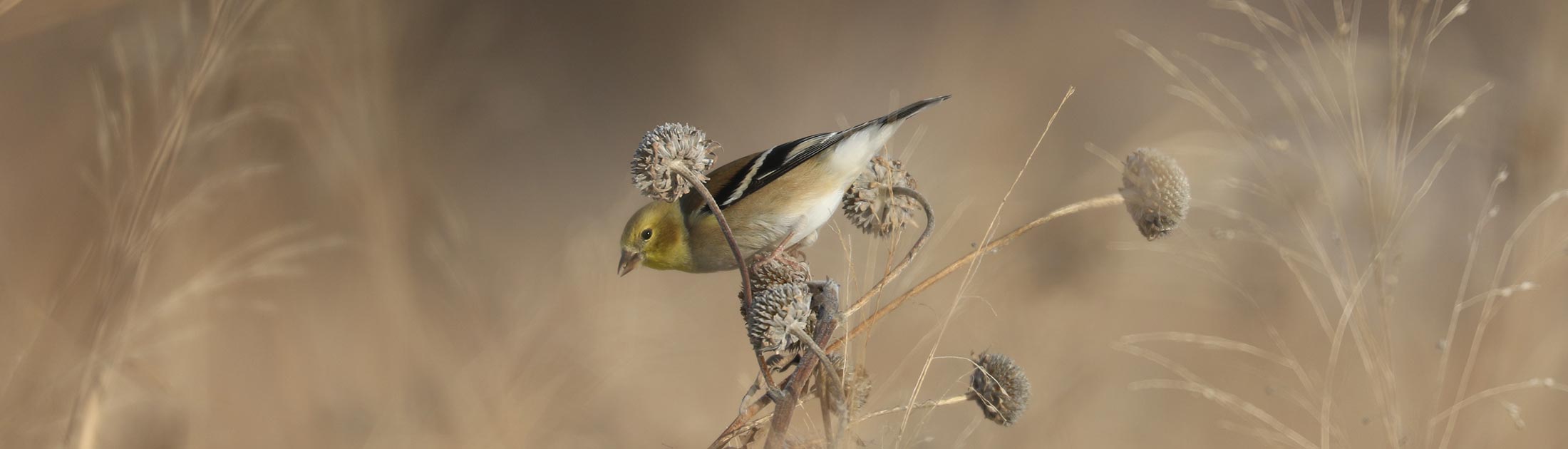 Seasonal Report - Winter 2022-23