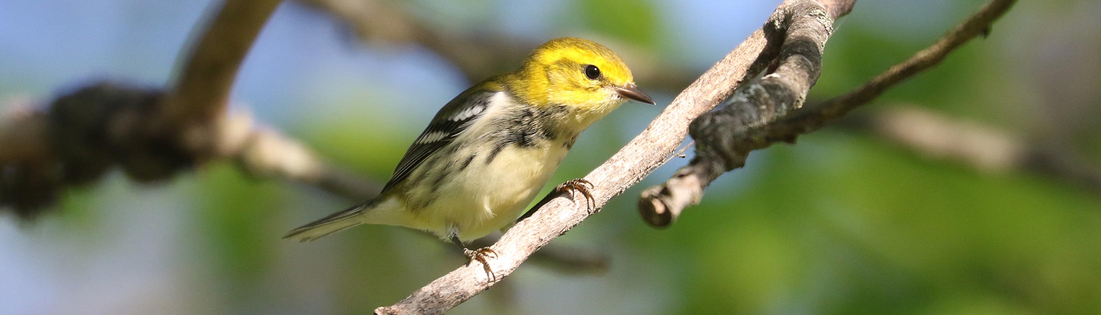 Seasonal Report - Fall 2022