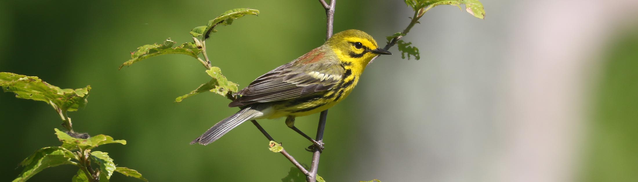 Seasonal Report - Spring 2023